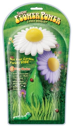 Super Flower Power 2 Piece Bouquet