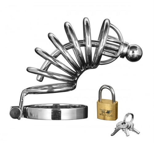 Asylum 4 Ring Locking Chastity Cage - Small-medium