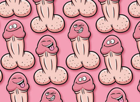 Gift Wrap Willy Pecker 2 Sheets