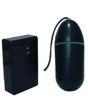 Waterproof Remote Control Bullet