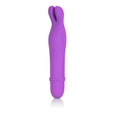Shane's World Bedtime Bunny